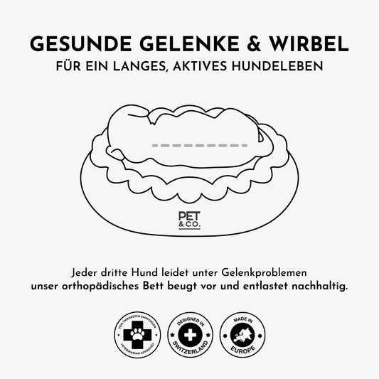 Alfi – Luxus-Hundebett in Creme