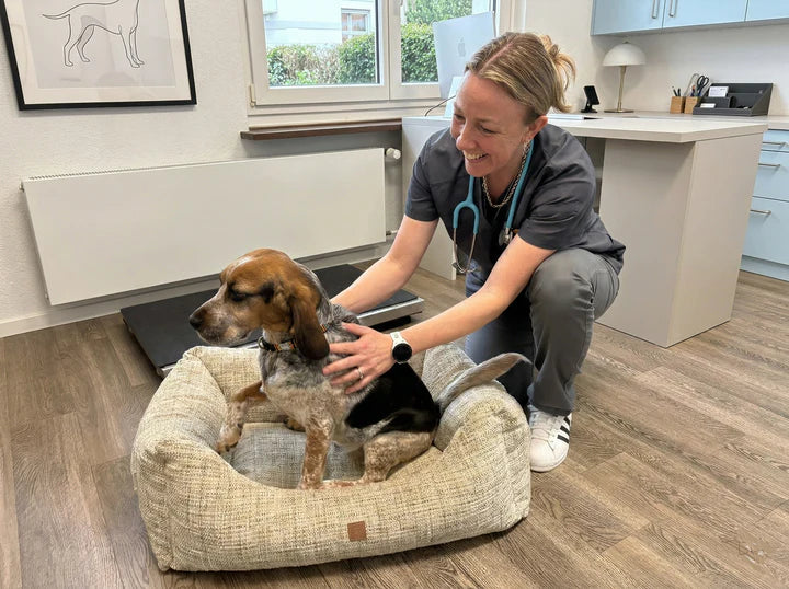 Why over 4,700 dogs sleep better with PET & Co.