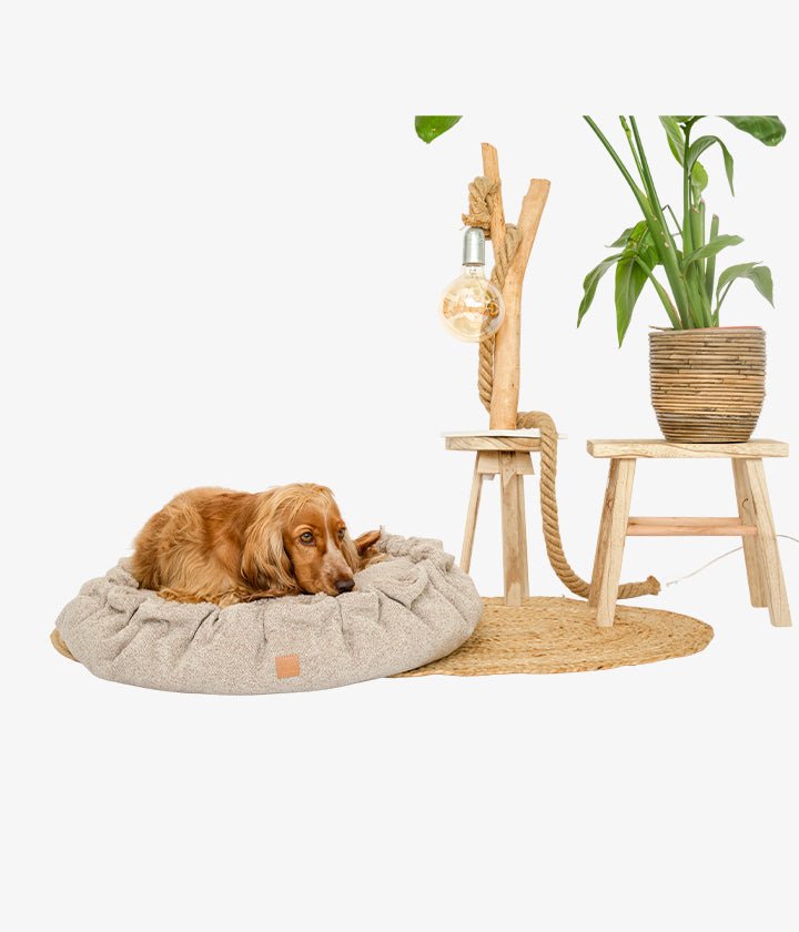 Alfi - Luxury Dog Bed