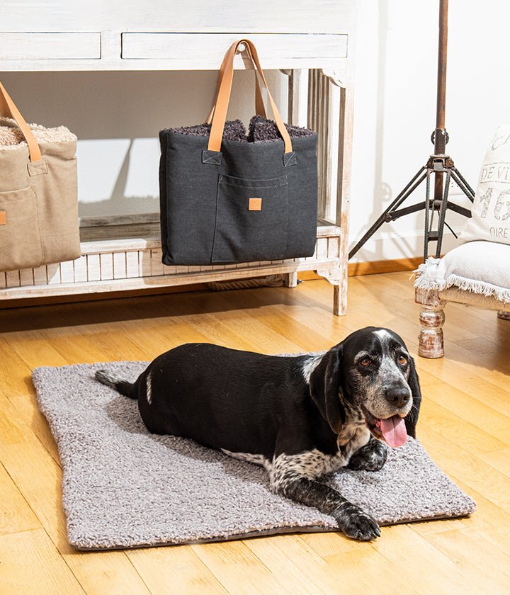 Aventura - Dog Travel Mat in Cool Gray