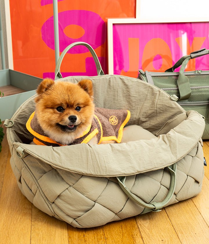 Wrappy Set - Dog Bath Coat & Glove SPA Set