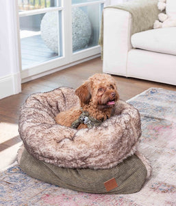 snuggle bag for cats and dogs