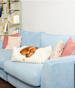 comfortable striped dog bed online