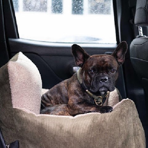 The perfect Dog Car Seat and Travel Bag for your Dog