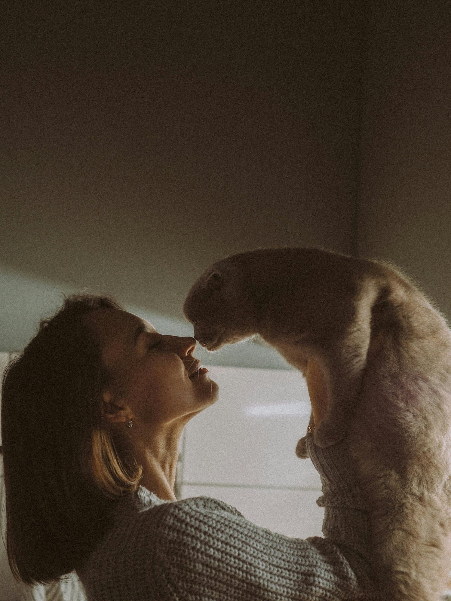 Male vs. Female Cats: Which Is the Right Choice For Your Home?