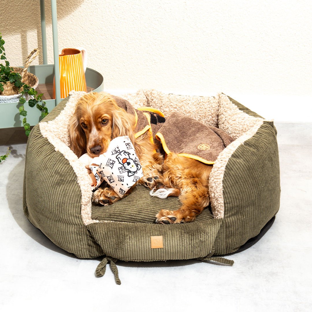 Orthopedic Dog Beds: Why Your Dog Deserves Premium Sleep!