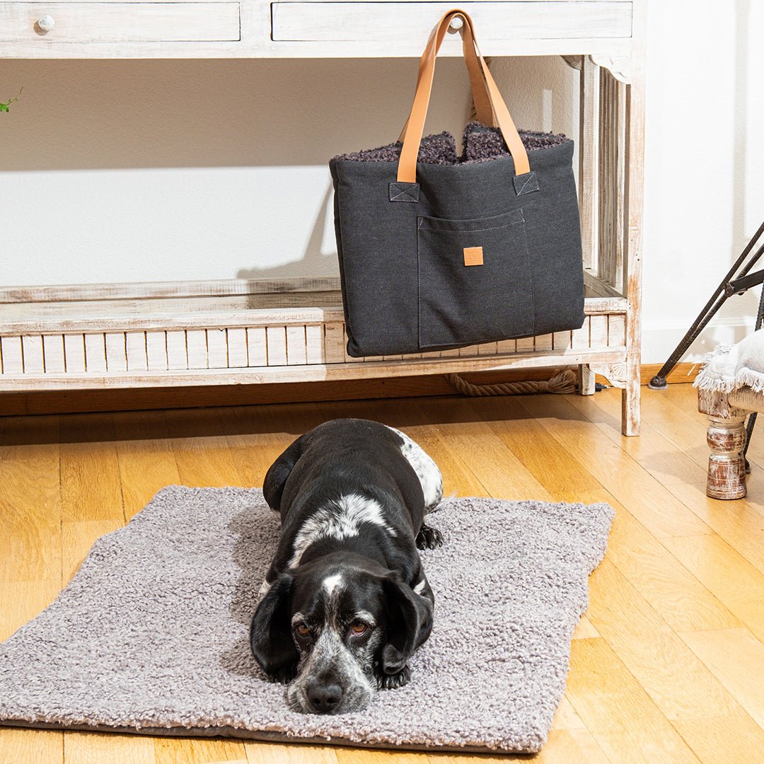 Stylish Dog Travel Essentials That Make Getaways Easier (and Prettier)