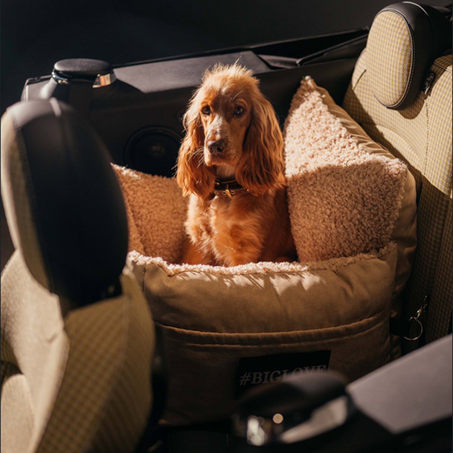 Autositz - Kollektion