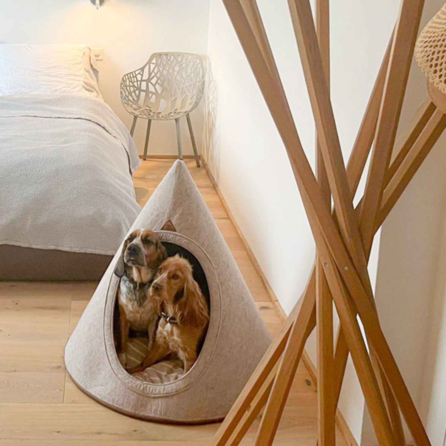 Tonto – Kollektion