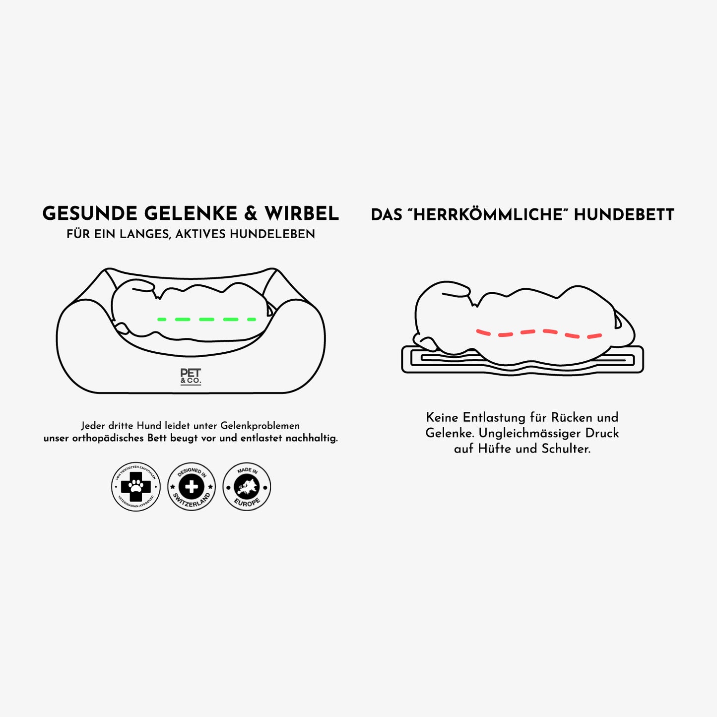 Alfi – Luxus-Hundebett in Creme