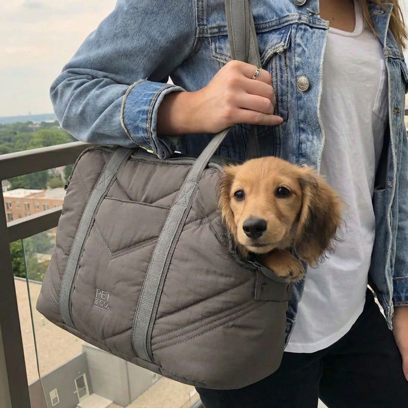 Lola - Luxury Dog  Bag