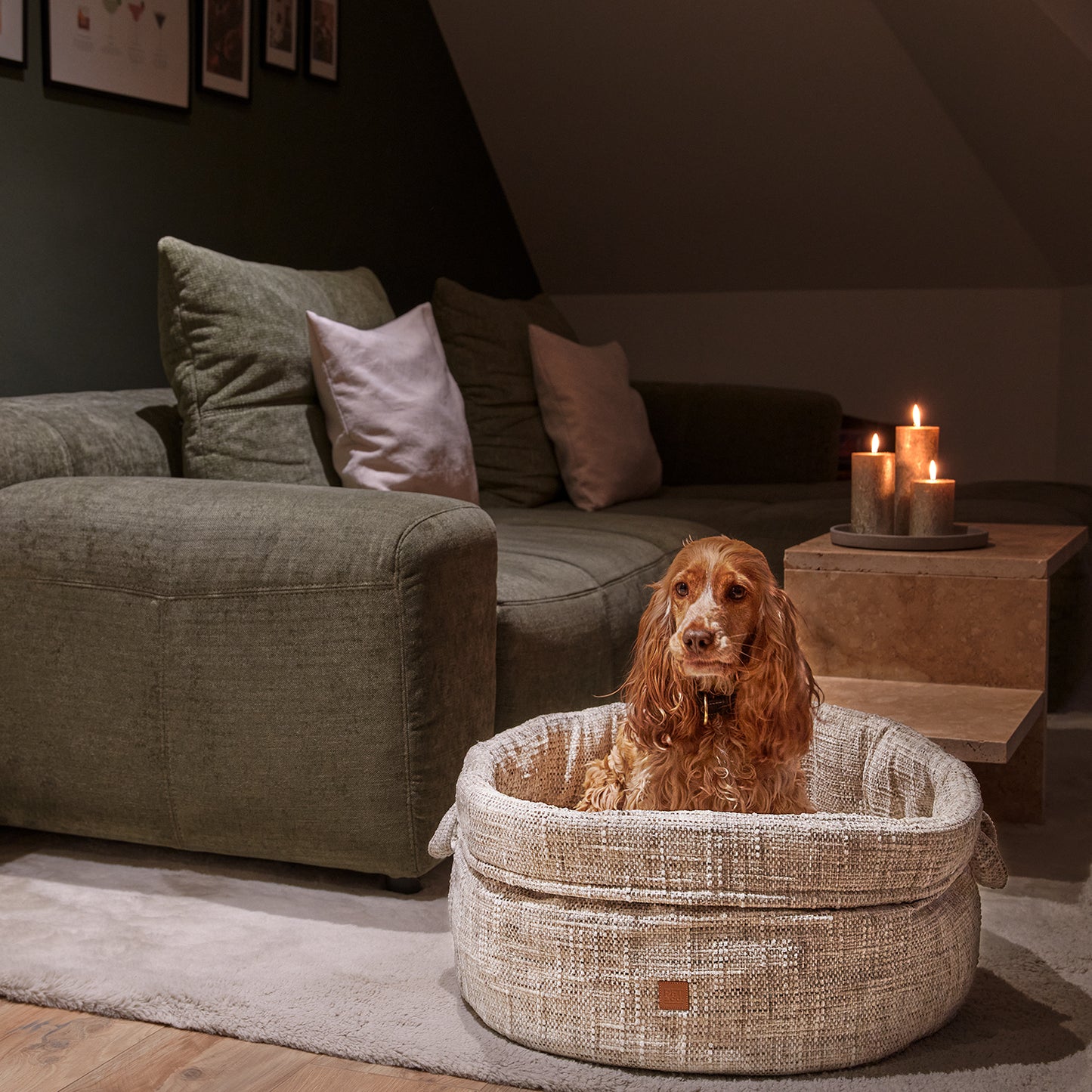 Louis - Chenille – Luxury Dog Basekt Crème