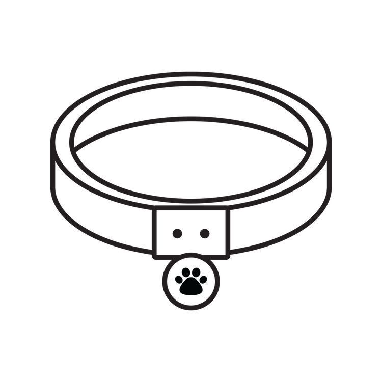 Pet & Co.: Accessoires