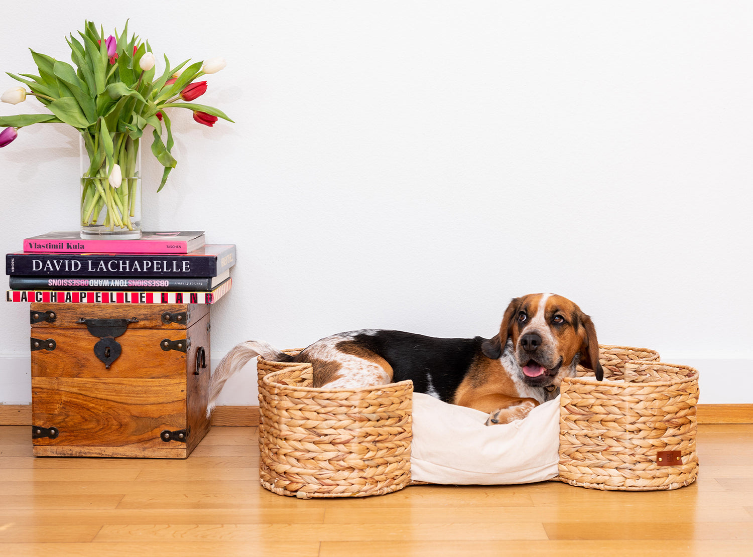 bone shaped dog basket - bongo