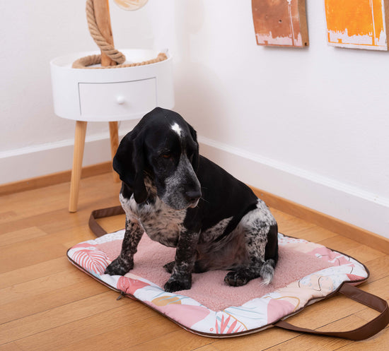 Pet & Co.: Mood Images