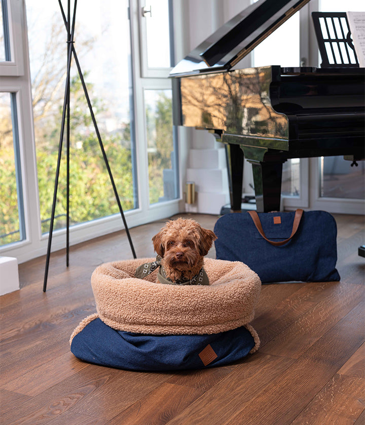 Pet & Co.: Hundebedarf