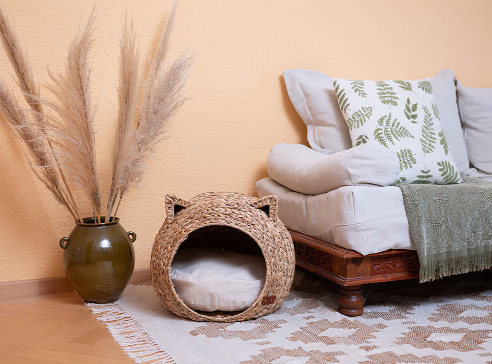 pet accessories online in Switzerland