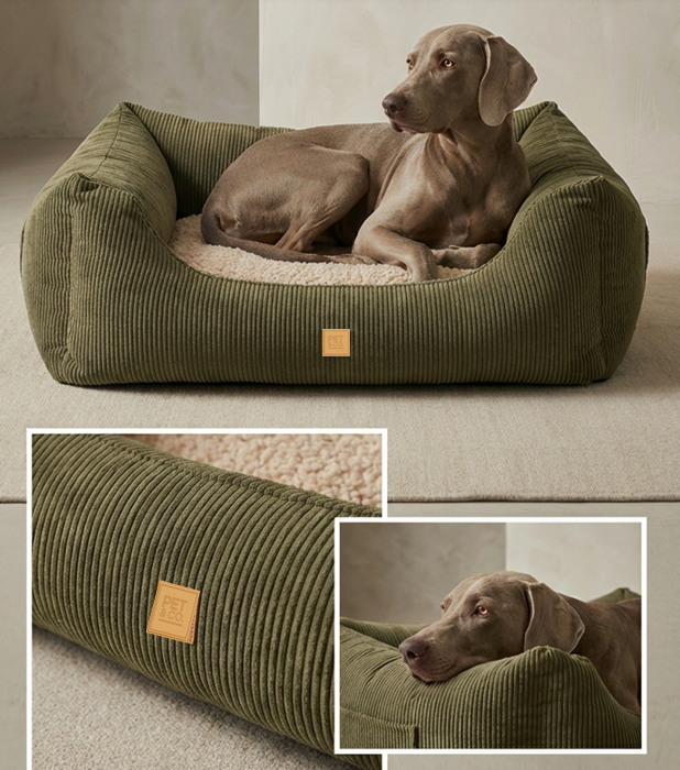 Dog resting in an olive green Kingston dog bed