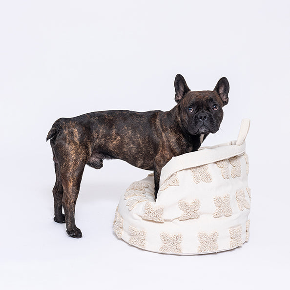 Creme Dog Basket - Louis Flowers