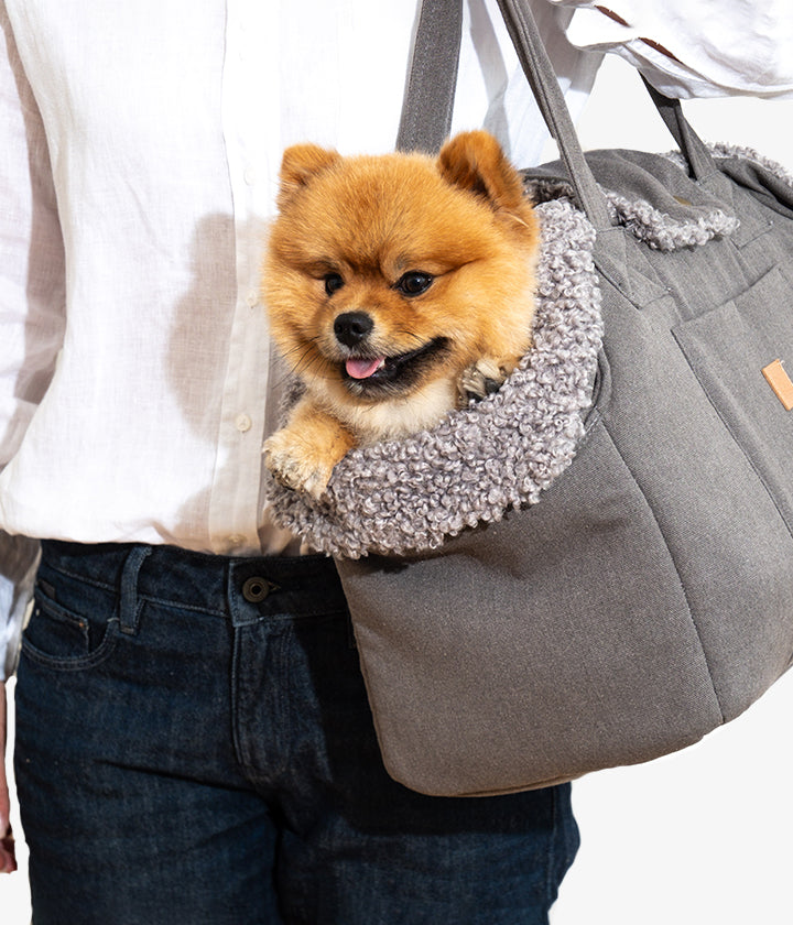 Lucky Dog Bag in Canvas Cool Gray: Buy Online Stylish and