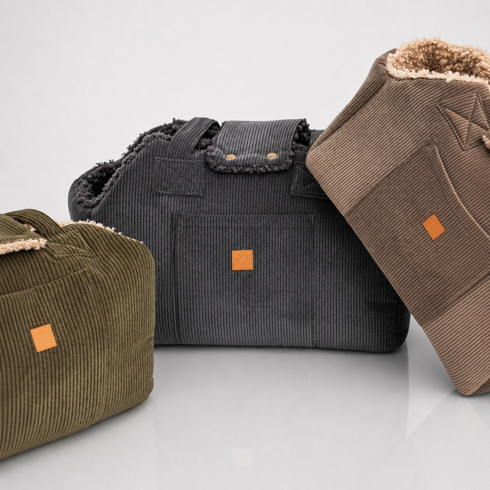 Design & Komfort mit Lucky