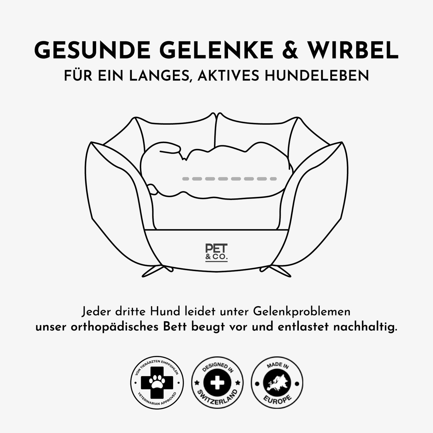 Ronny Canvas - Luxury Dog Bed in Nature