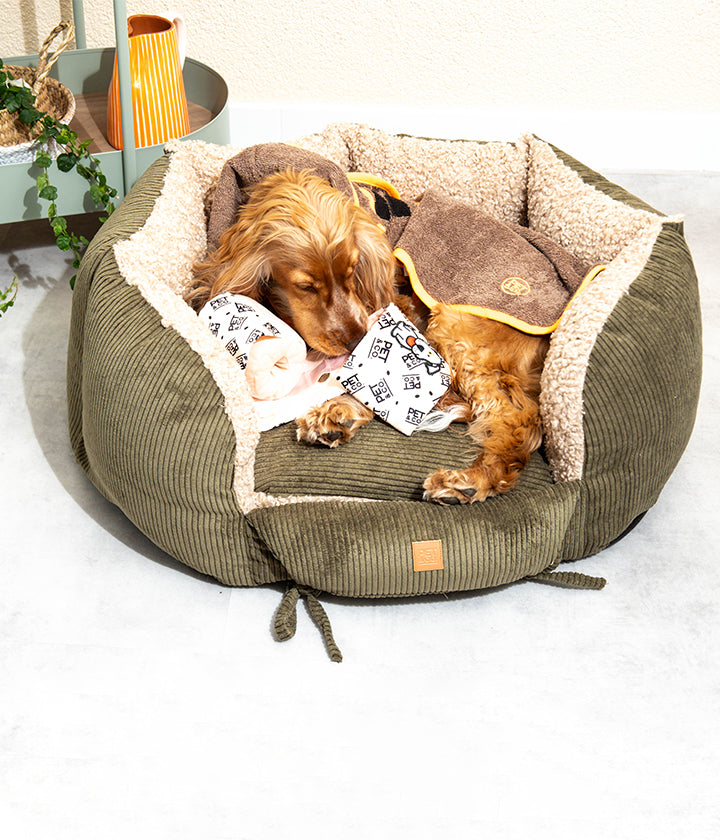 Ronny Cord Double Face - Luxury Dog Bed in Khaki