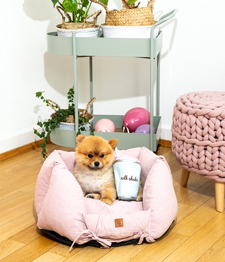 Ronny Leinen: Orthopedic Memory Foam Dog Bed Online Pet Co