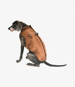 Ruby - Quilted Coat with Harness - Brown