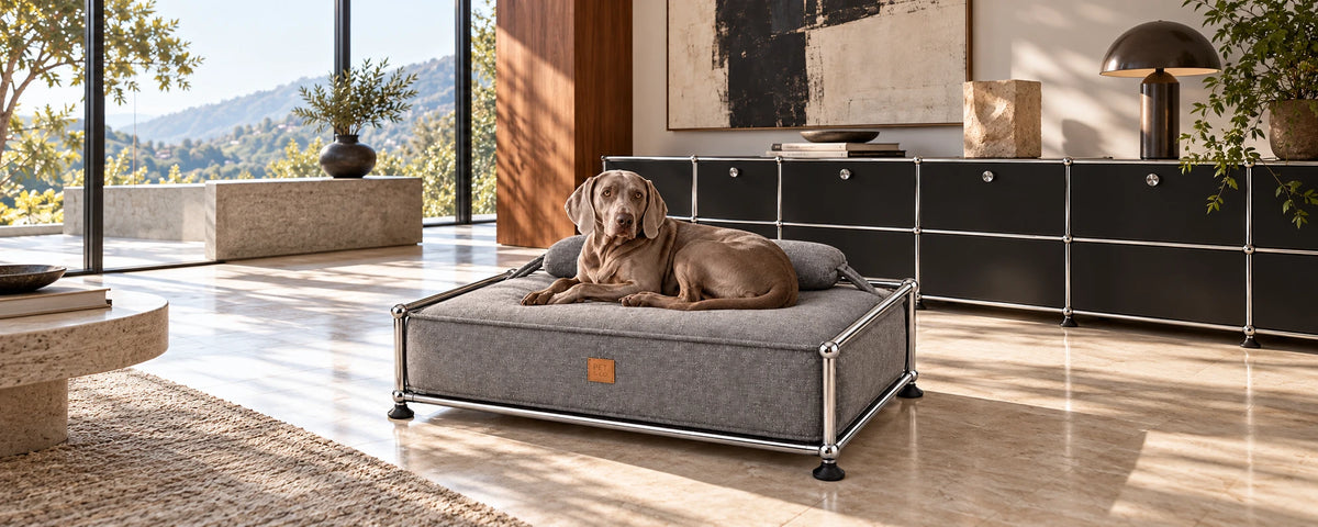 UNO in grigio pietra nella struttura aperta USM di Modulaire
