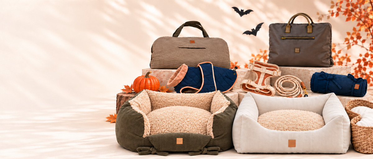 Hundebetten, Taschen und Zubehör in herbstlicher Halloween-Kulisse