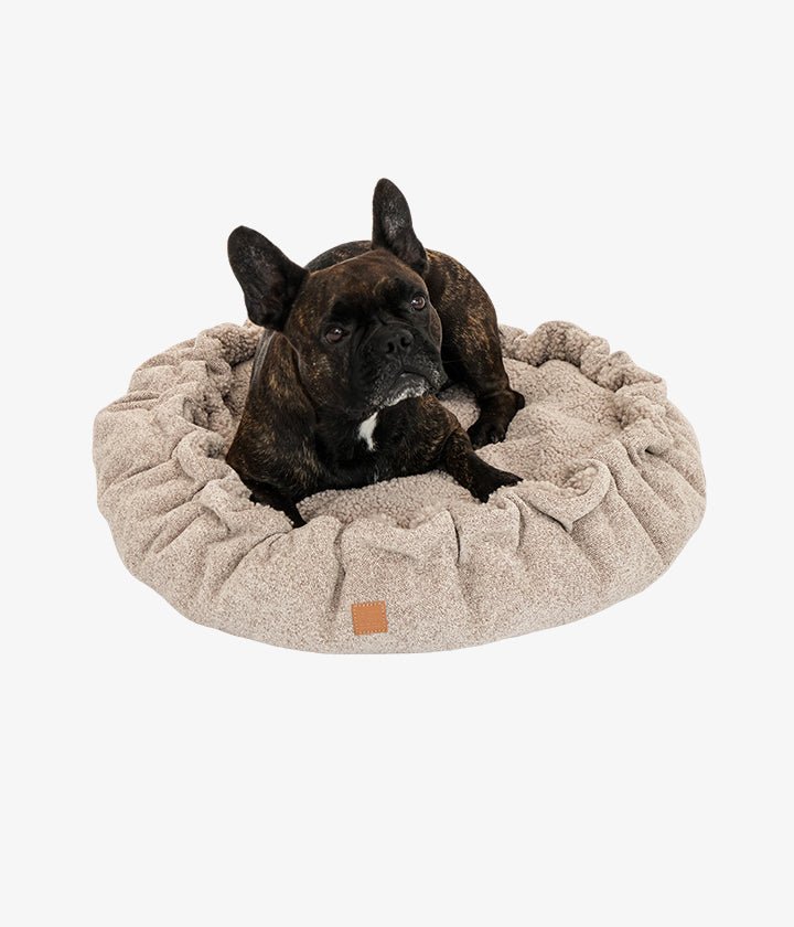 Alfi – Luxus-Hundebett in Creme