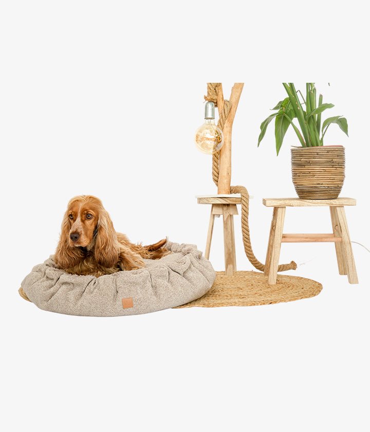 Alfi – Luxus-Hundebett in Creme