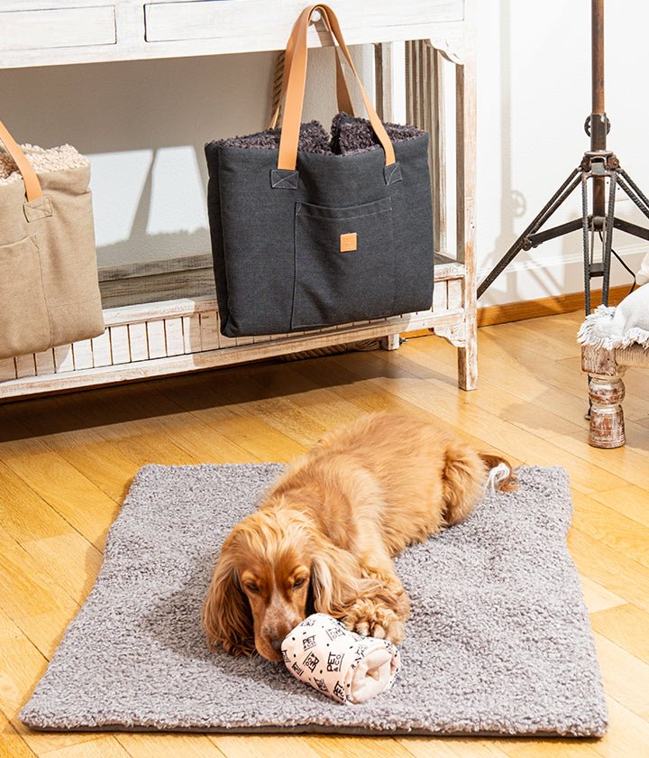 Aventura - Dog Travel Mat in Cool Gray