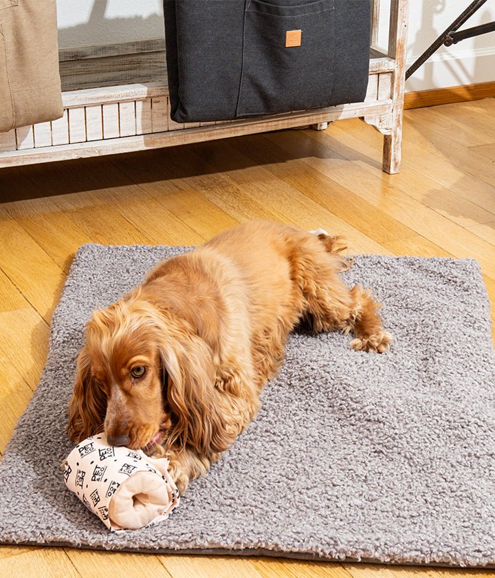 Aventura - Dog Travel Mat in Cool Gray