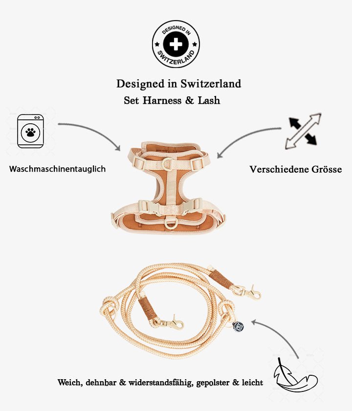 Ben Harness & Leash Set