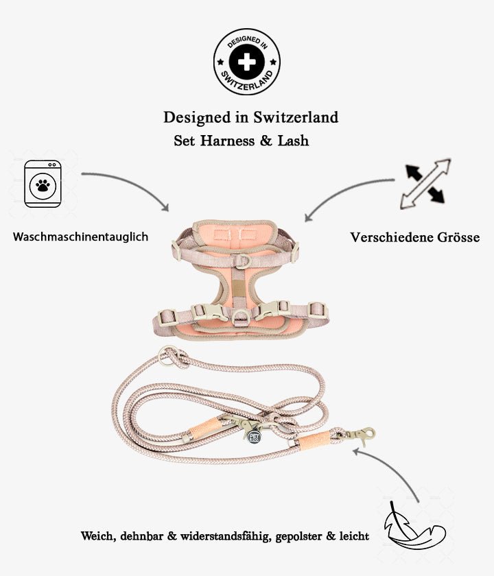 Ben Harness & Leash Set