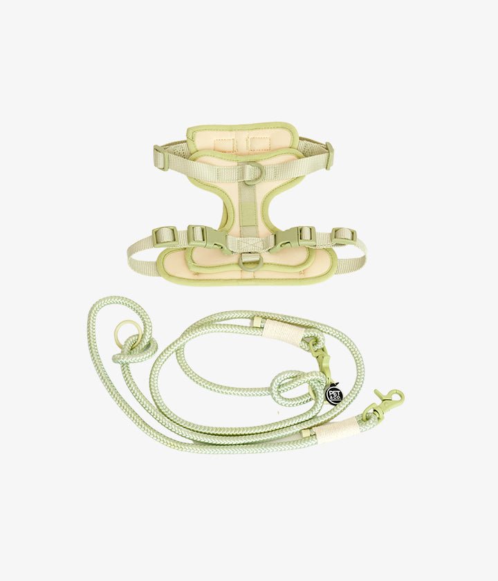 Ben Harness &amp; Leash Set