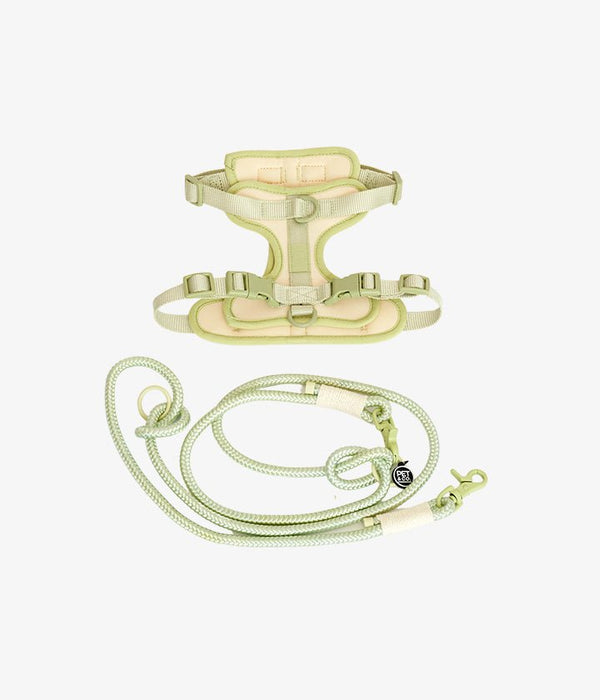 Ben Harness & Leash Set