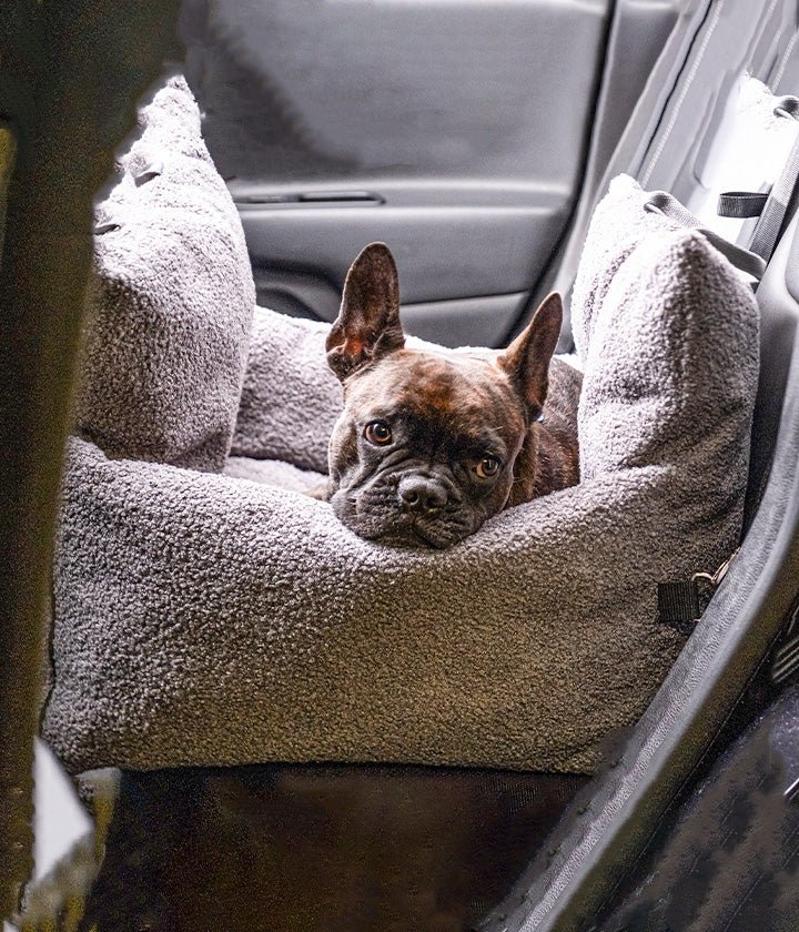 AUTOSITZ Pluto Teddy Anthrazit