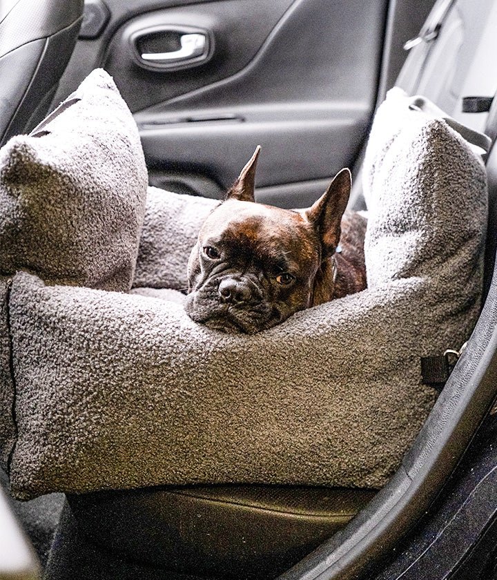 AUTOSITZ Pluto Teddy Anthrazit