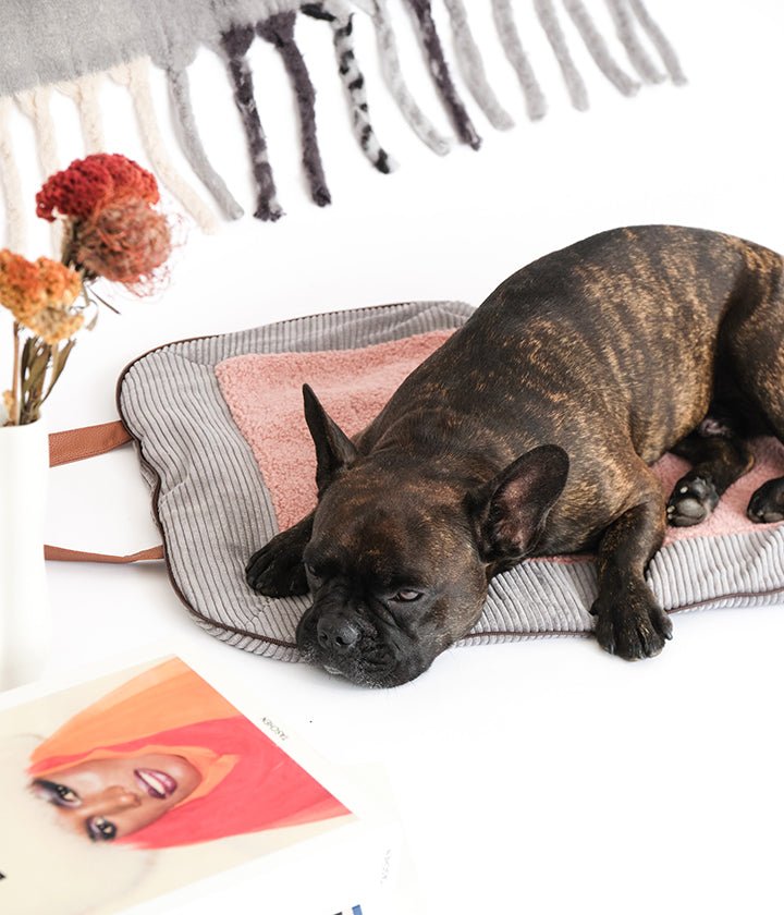 Charly Cord – Luxus Hundereisematte in Grau