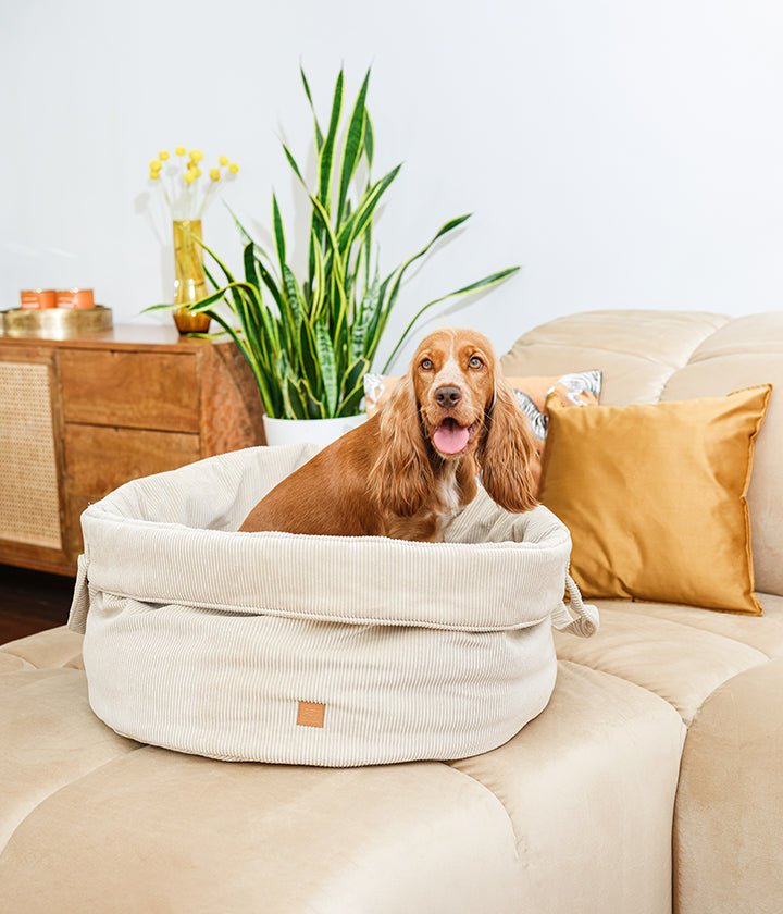 Louis-Cord- Luxury Dog Basket