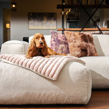 Laden Sie das Bild in den Galerie-Viewer, Lazy Blanket Gray
