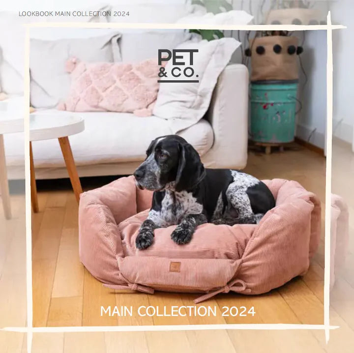 PET & Co. MAIN Collection 2025