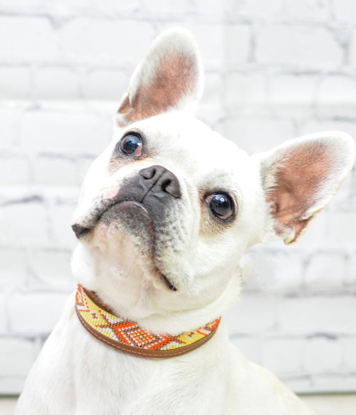 Kinaku - Collier - La Perla - Ambar