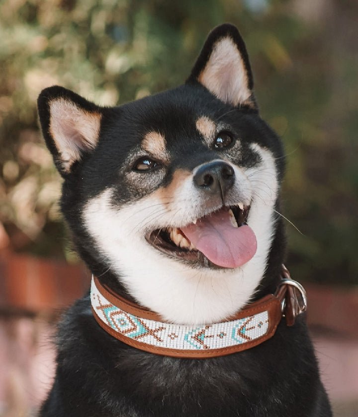 Kinaku - Collar - La Perla - Calaita