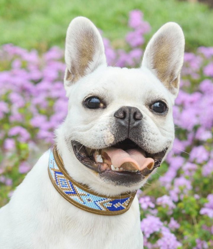 Kinaku - Collar - La Perla - Topacio