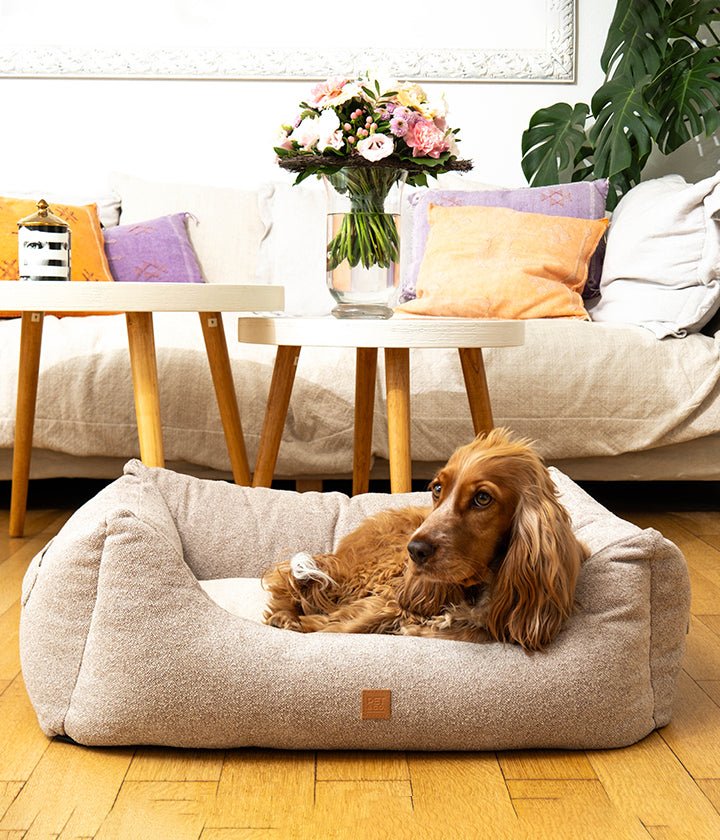 Kingston Basic -  Luxury Dog Bed