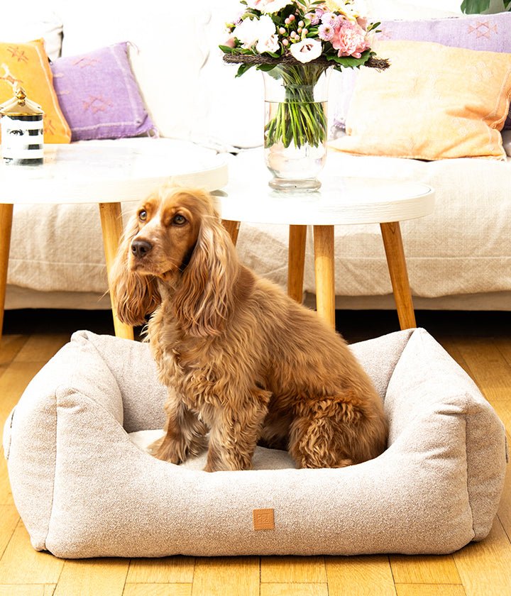 Kingston Basic -  Luxury Dog Bed